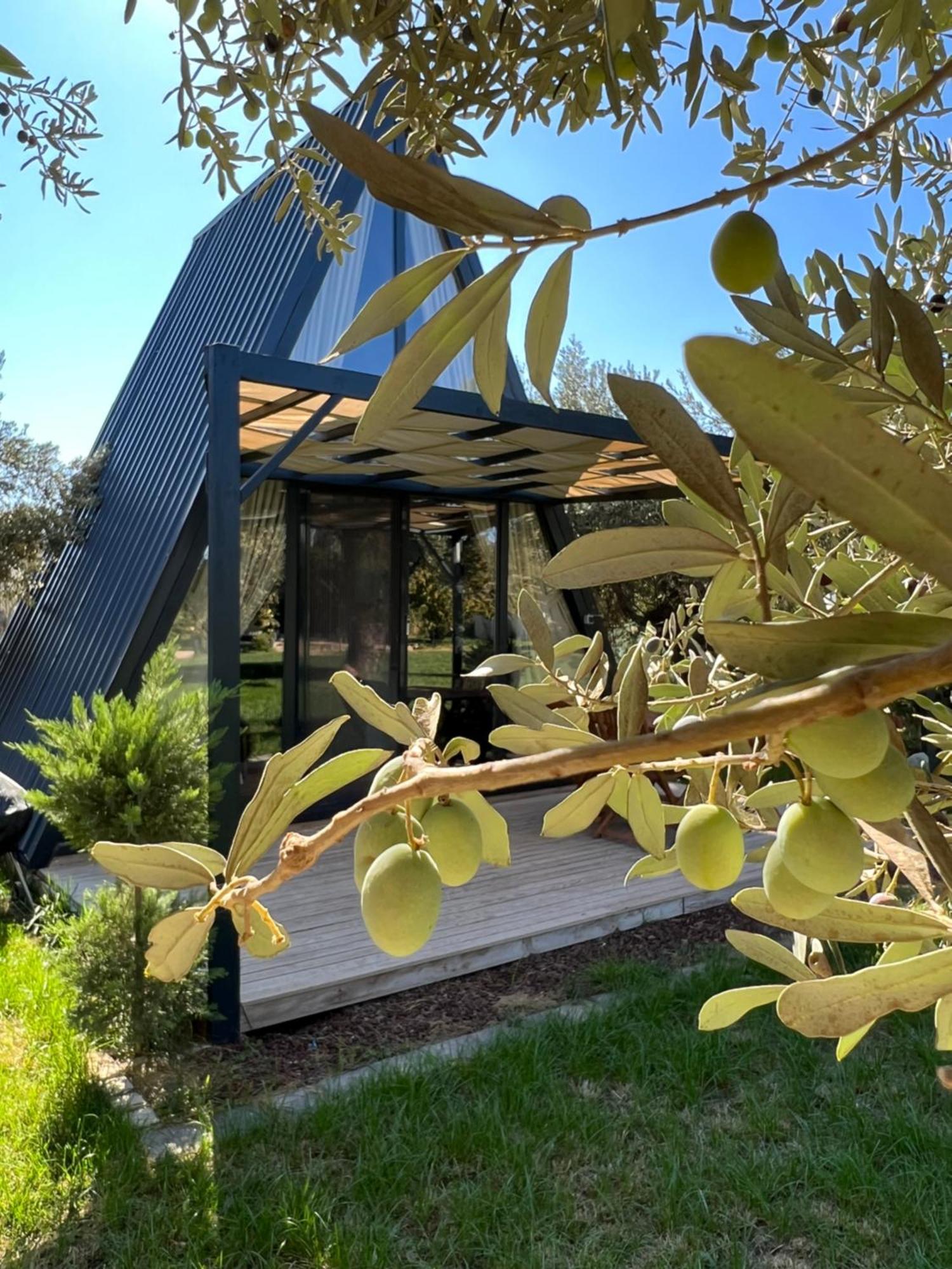 Byelka Bungalov Ayvalı المظهر الخارجي الصورة