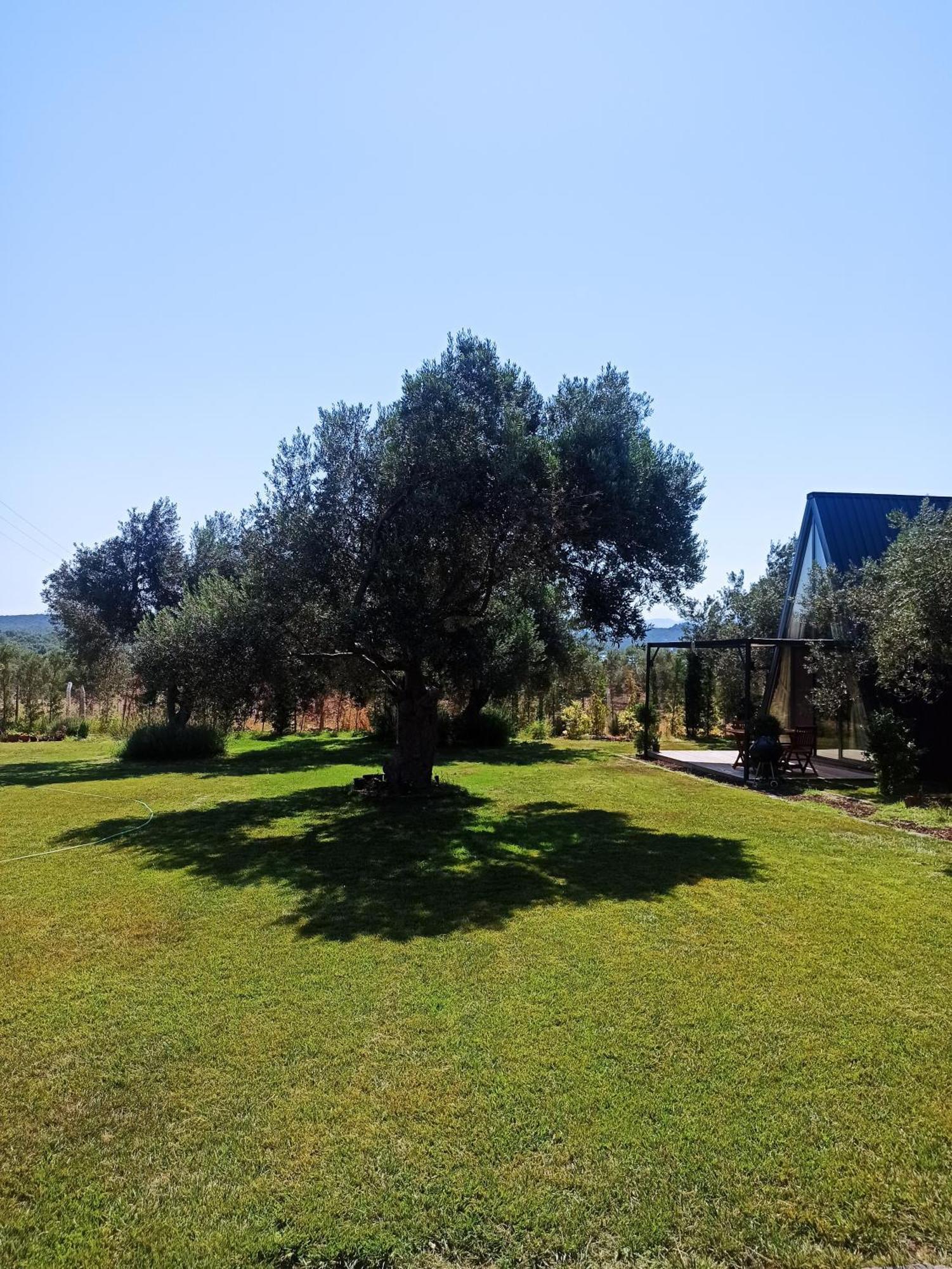 Byelka Bungalov Ayvalı المظهر الخارجي الصورة